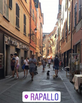 Caruggi's Flat - Old Town, Rapallo